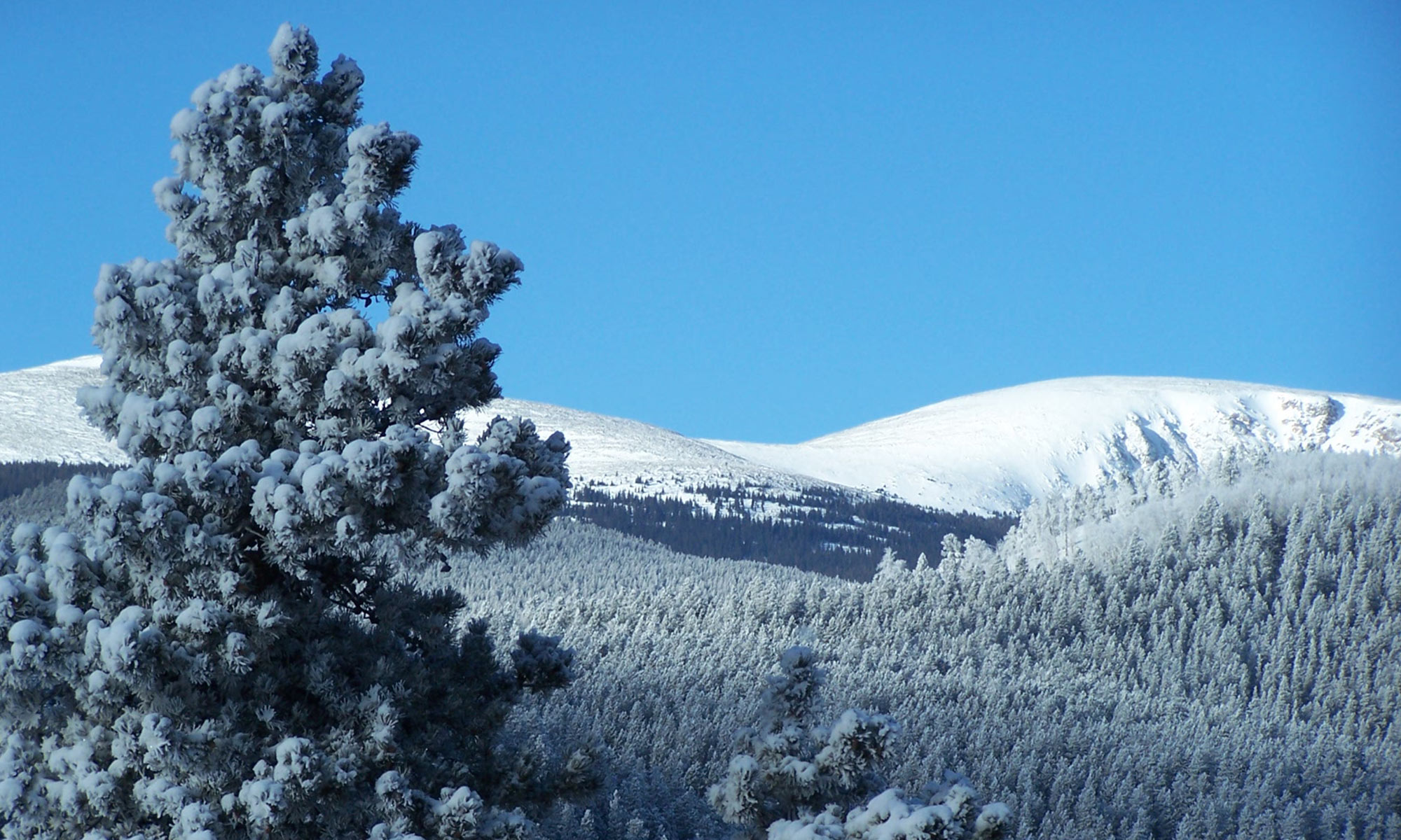 Mount Logan winter