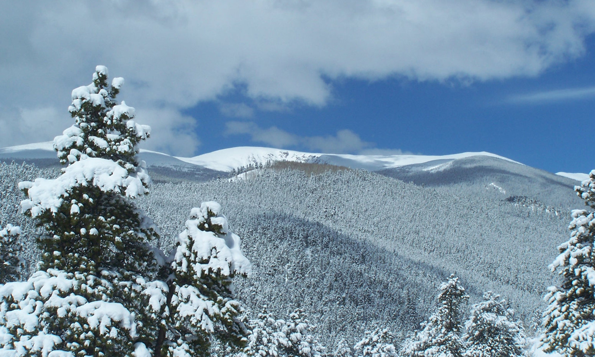 Snowfall on Mount Logan